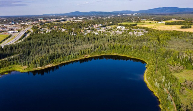 Wedgewood Resort