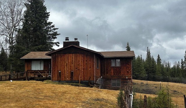 Welcoming Kozy Kasilof Cabin on 8 acres. Sleeps 6