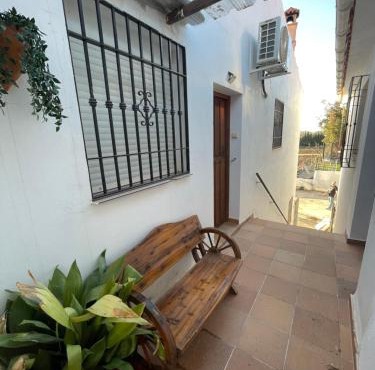 Zuchar in Granada
