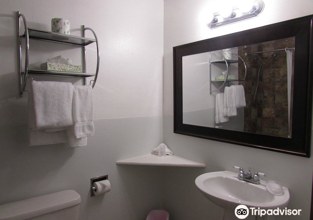 Photo of Bathroom in Tri-Cities