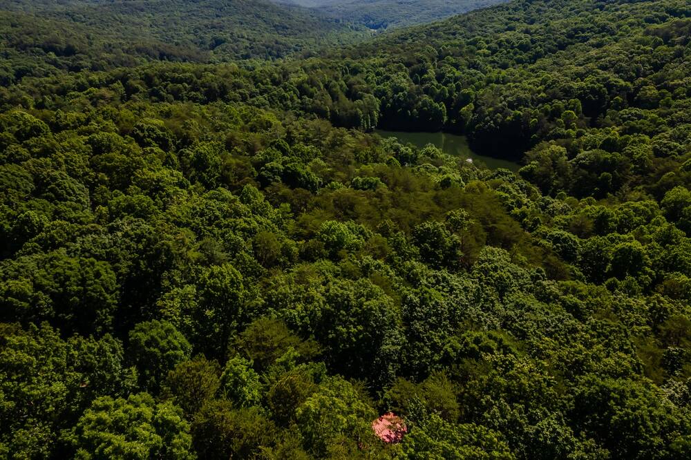 Photo of Outdoor in Walnut Mountain