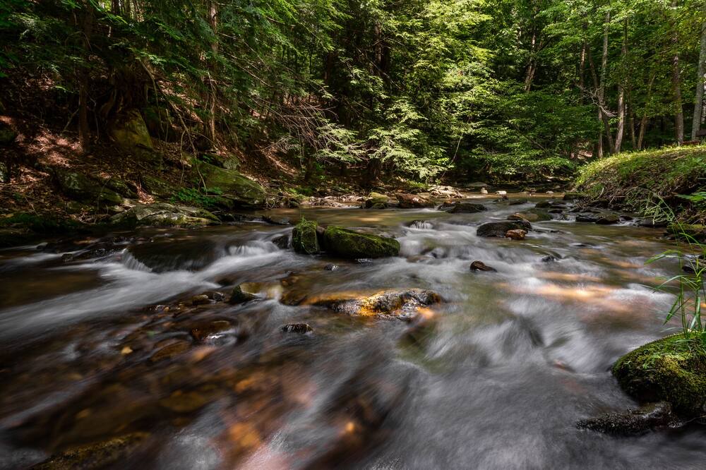 Photo of Outdoor in Walnut Mountain