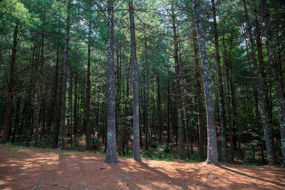 Photo of Outdoor in Vein Mountain