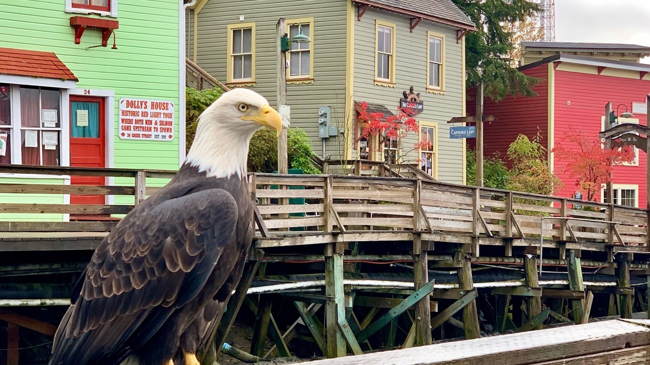 Photo of Outdoor in Ketchikan