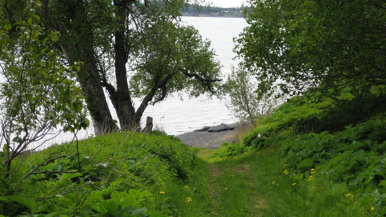 Photo of Outdoor in Kachemak