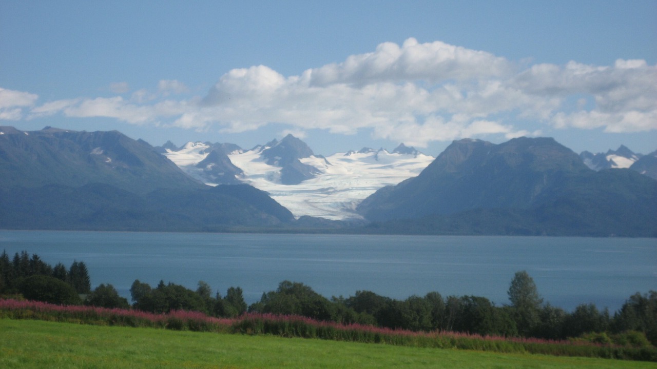 Photo of Others in Kachemak