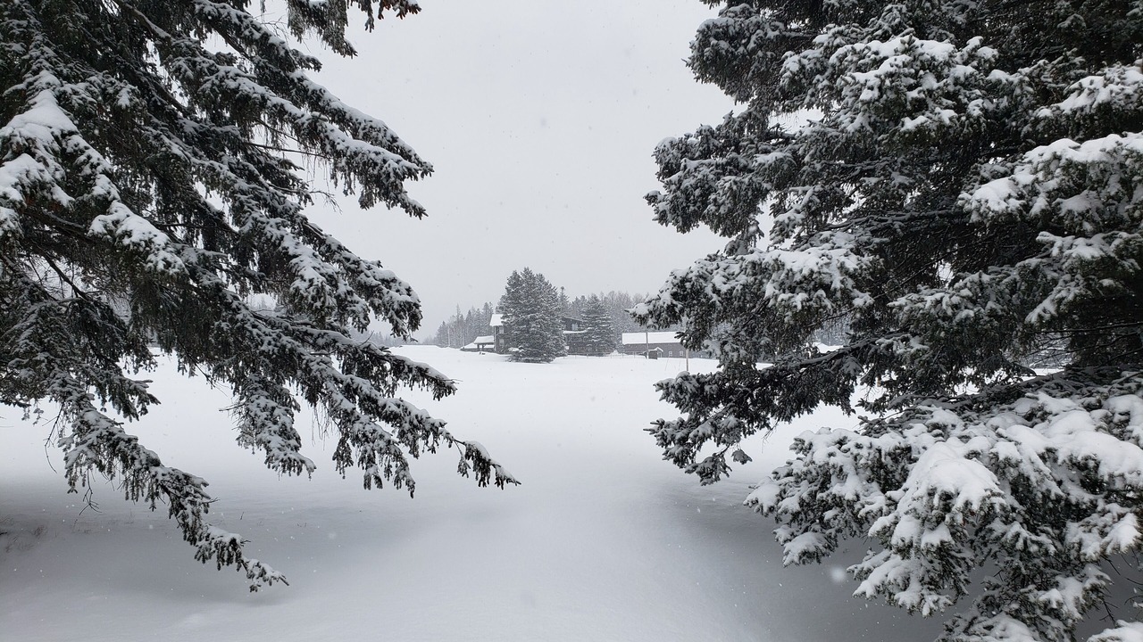 Photo of Outdoor in Moose River