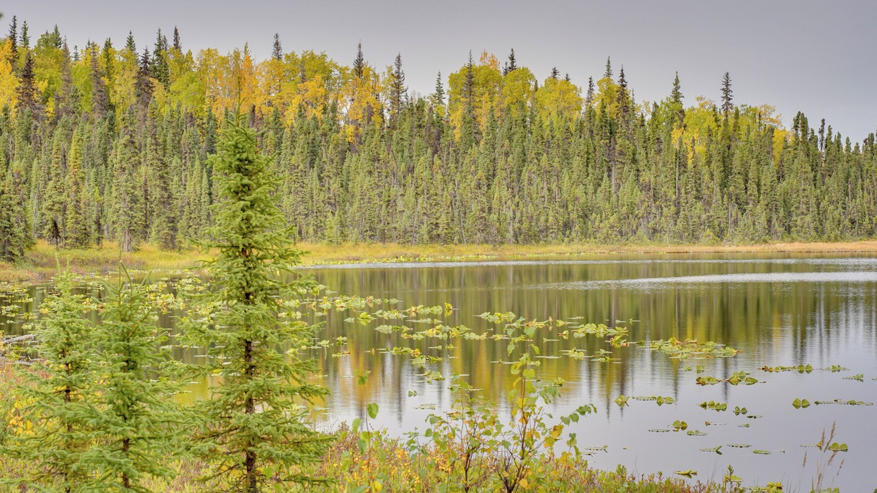 Photo of Others in Ridgeway