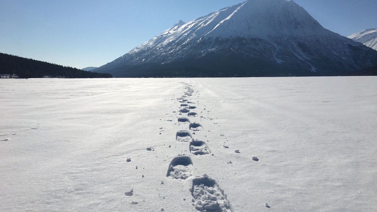 Photo of Others in Moose Pass