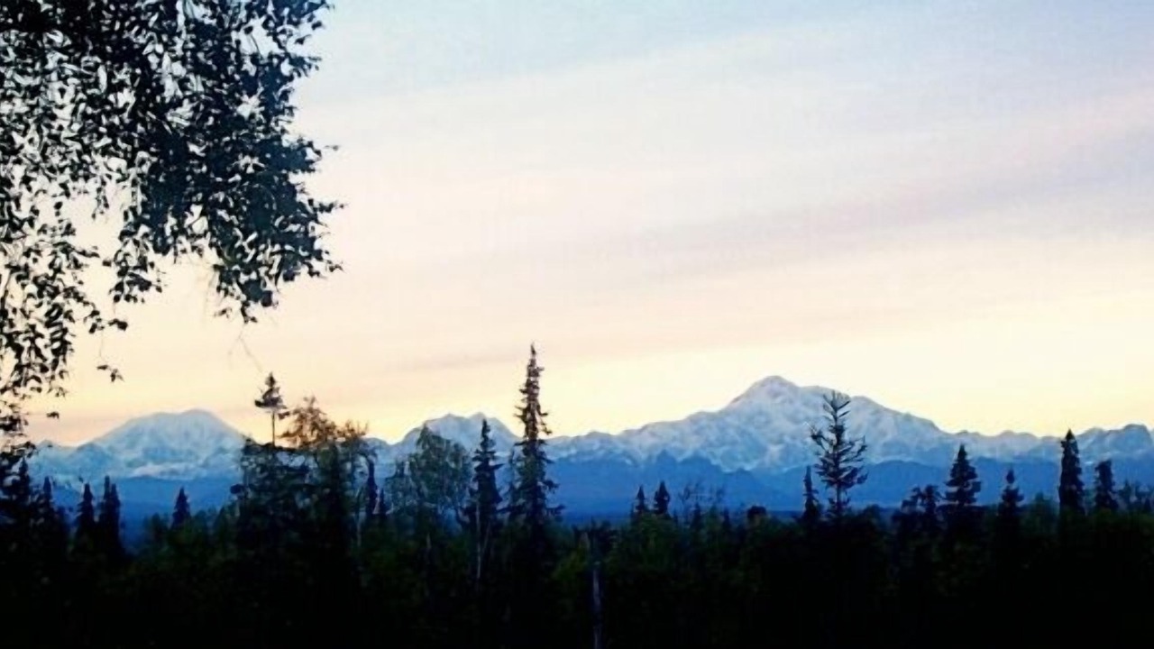 Photo of Patio Balcony in Talkeetna