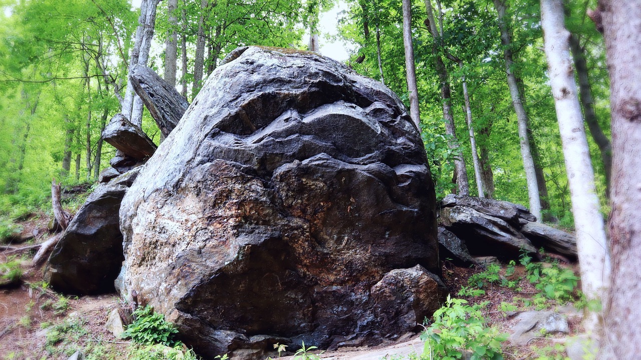Photo of Others in Barnardsville