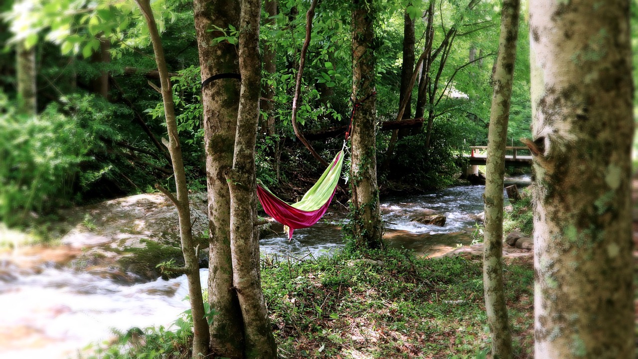 Photo of Outdoor in Barnardsville