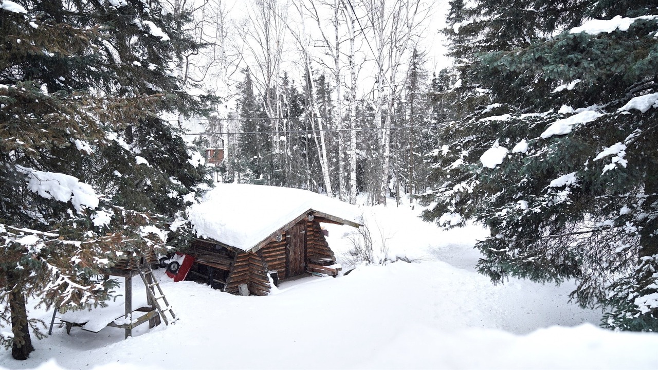 Photo of Outdoor in Turnagain