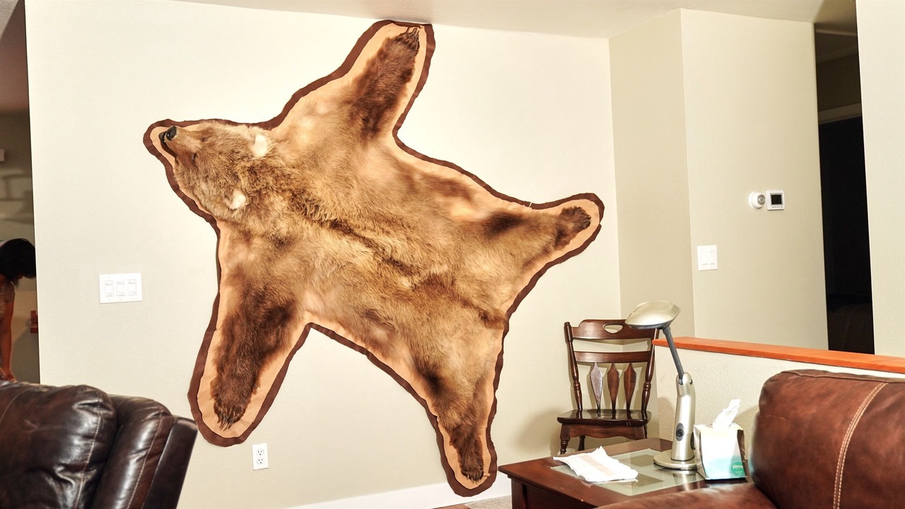 Photo of Others in Turnagain