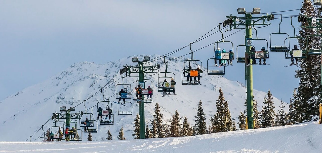 Photo of Others in Turnagain