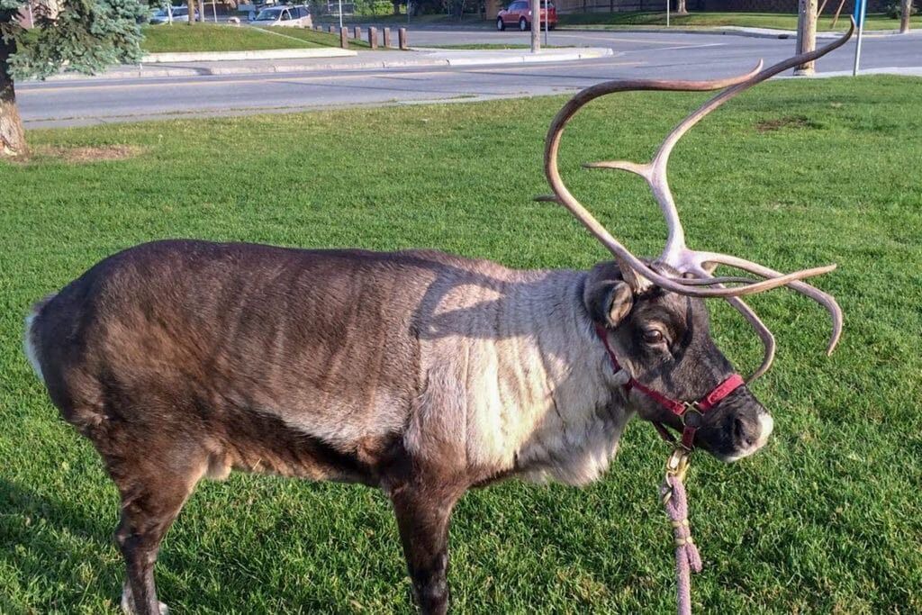Photo of Others in Turnagain