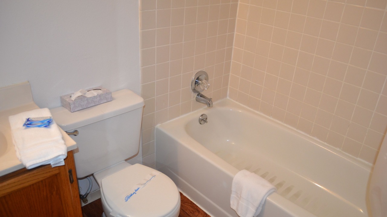 Photo of Bathroom in Homer