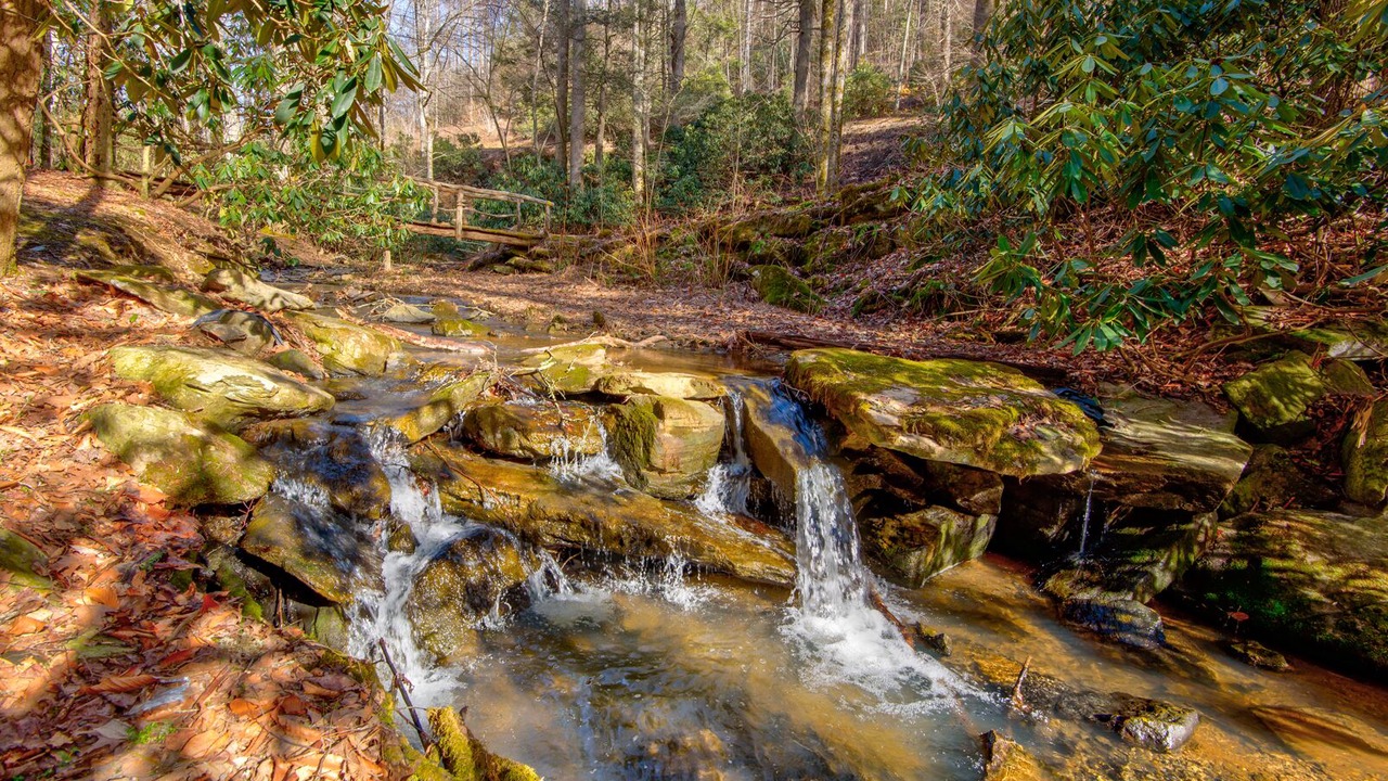 Photo of Others in Boone