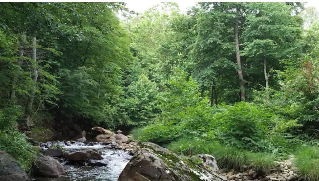 Photo of Outdoor in Barnardsville