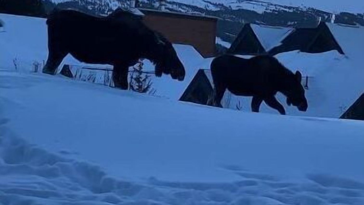 Photo of Others in Baldy Mountain