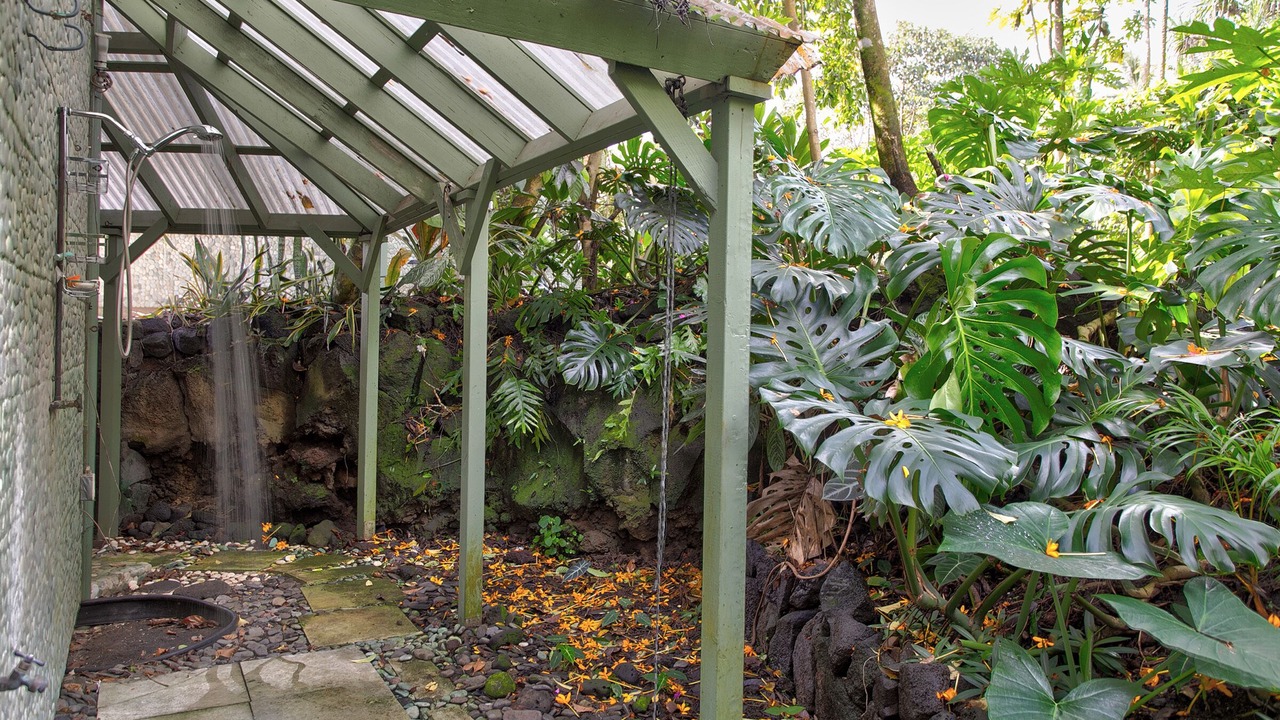 Photo of Outdoor in Kehena