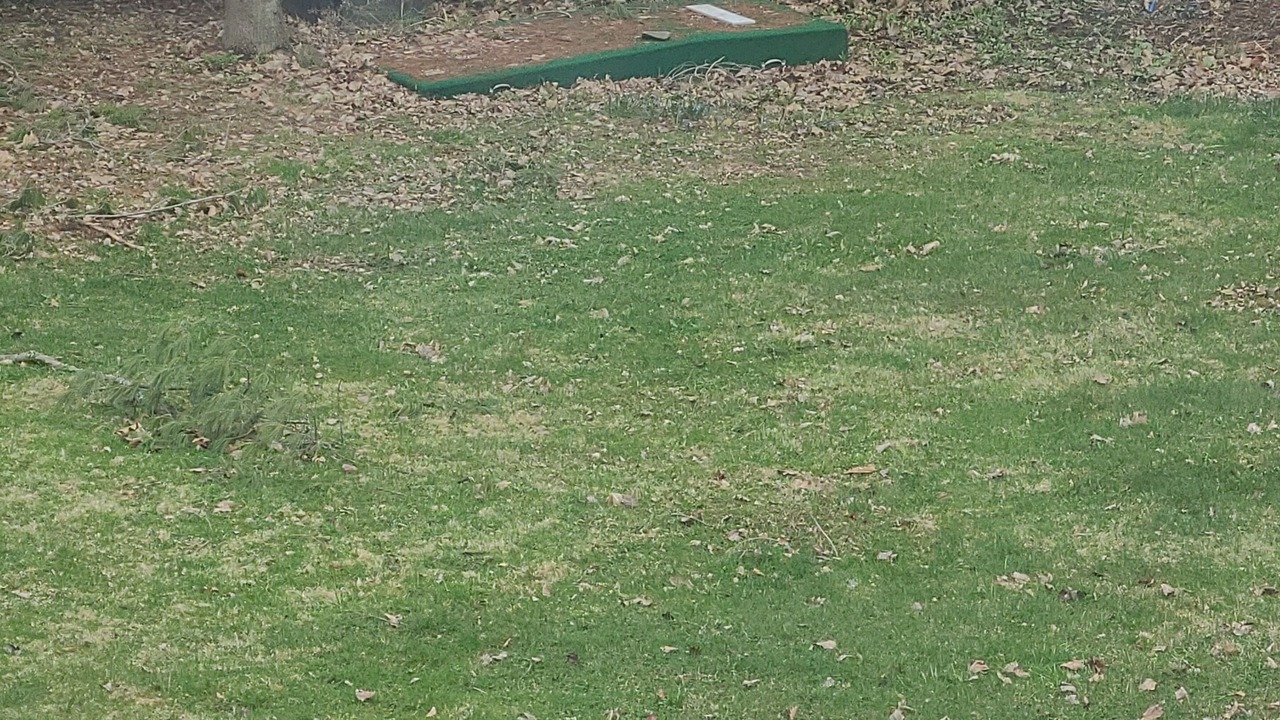 Photo of Outdoor in Waterville