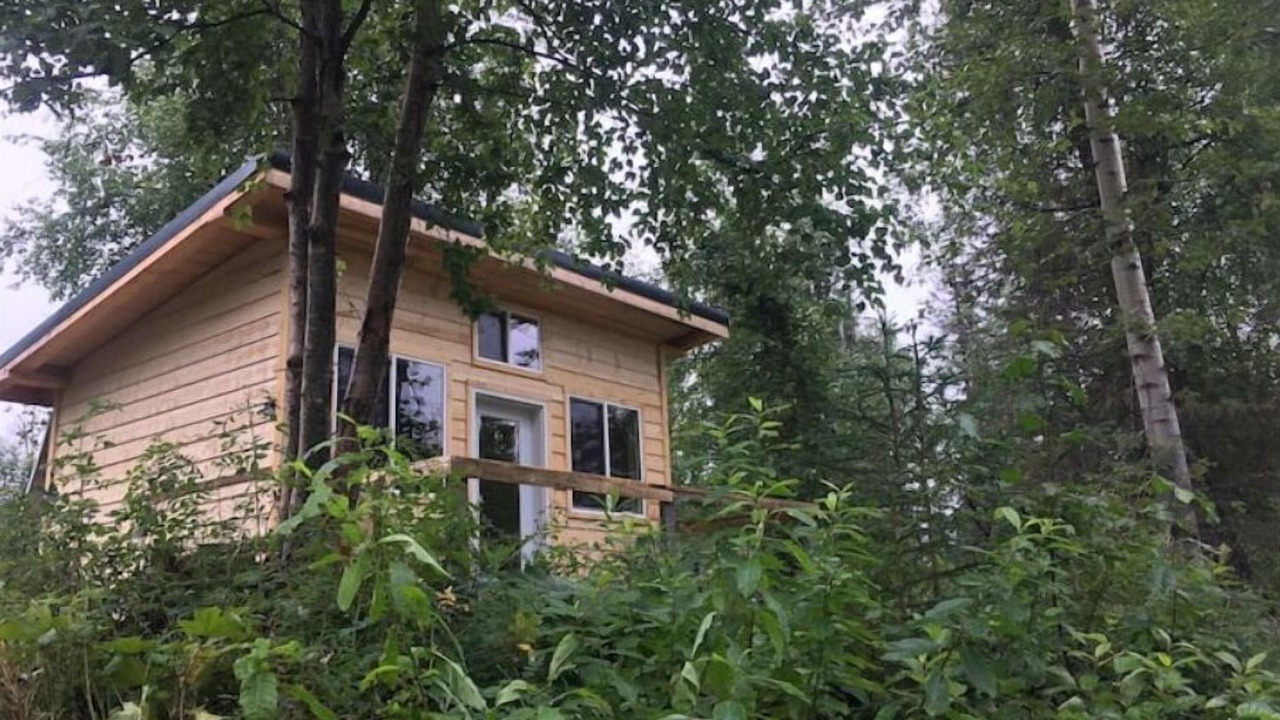Photo of Outdoor in Susitna North