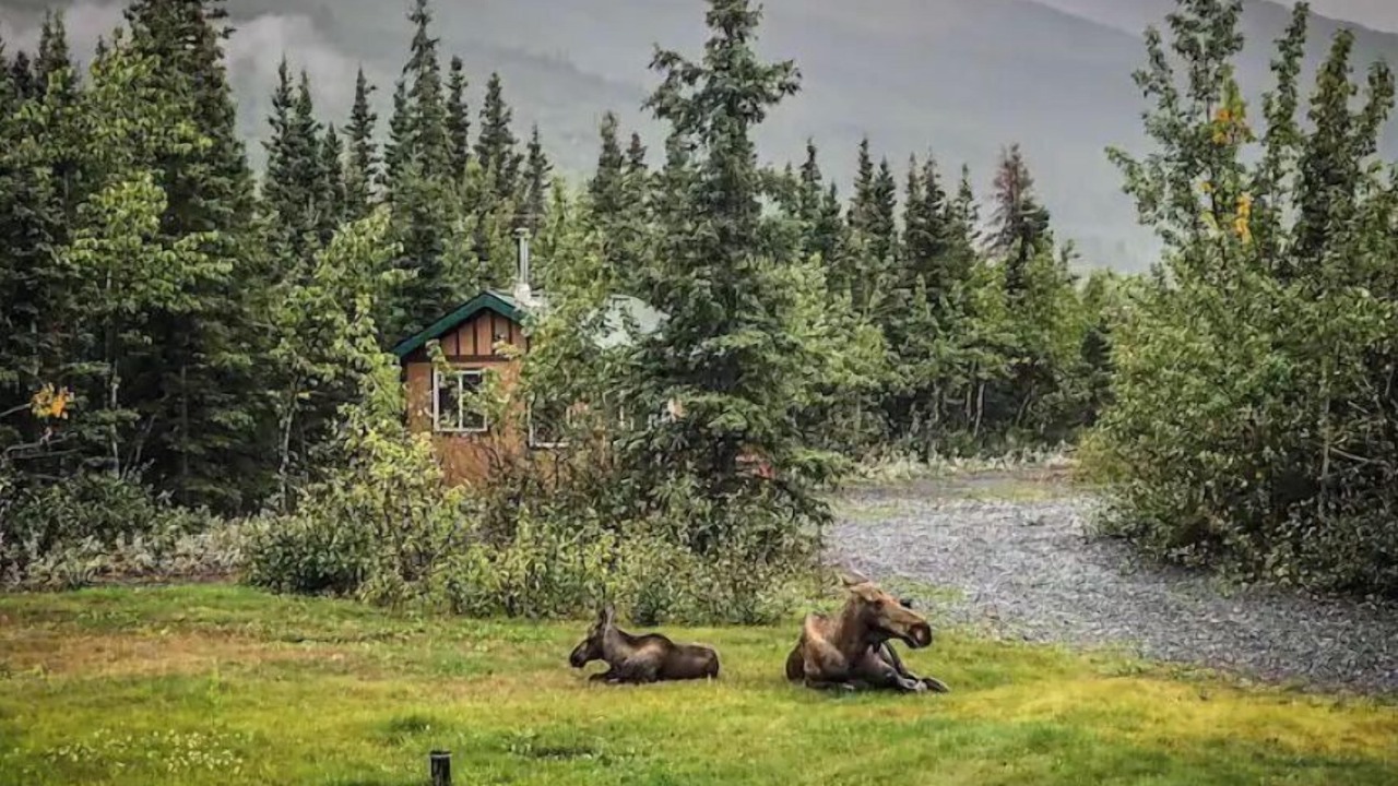 Photo of Others in Knik River