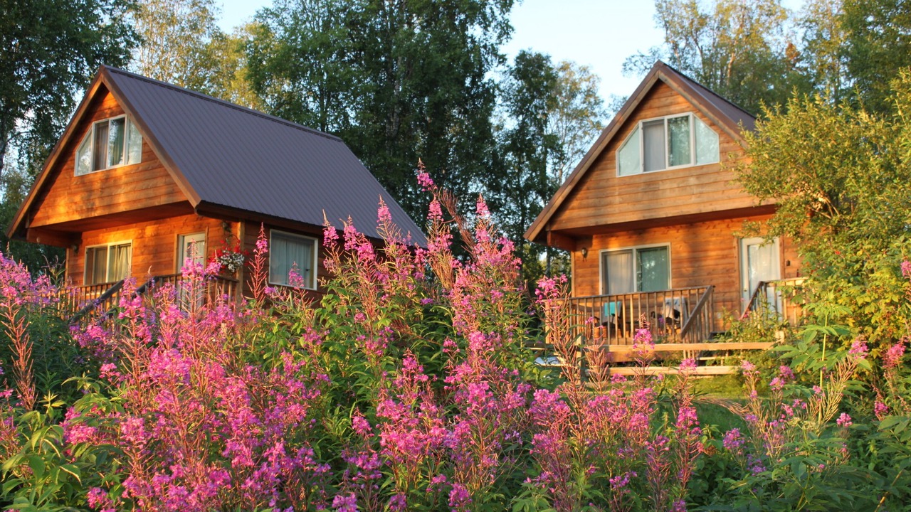 Photo of Others in Talkeetna