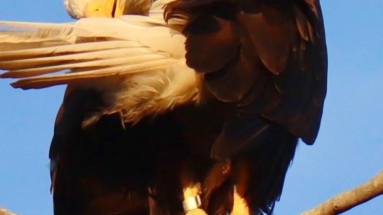 Photo of Outdoor in Gateway