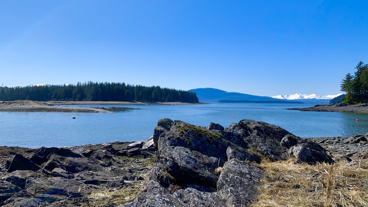 Photo of Others in Juneau
