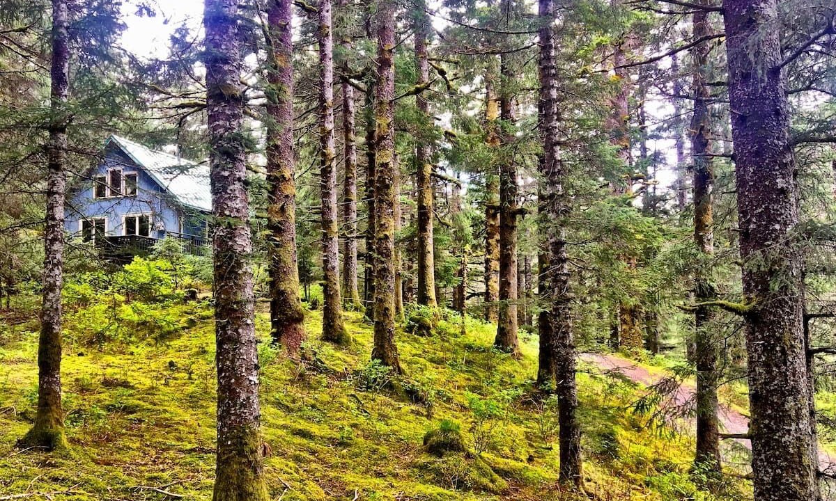 Photo of Outdoor in Chiniak