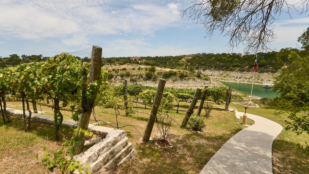 Photo of Outdoor in Lago Vista