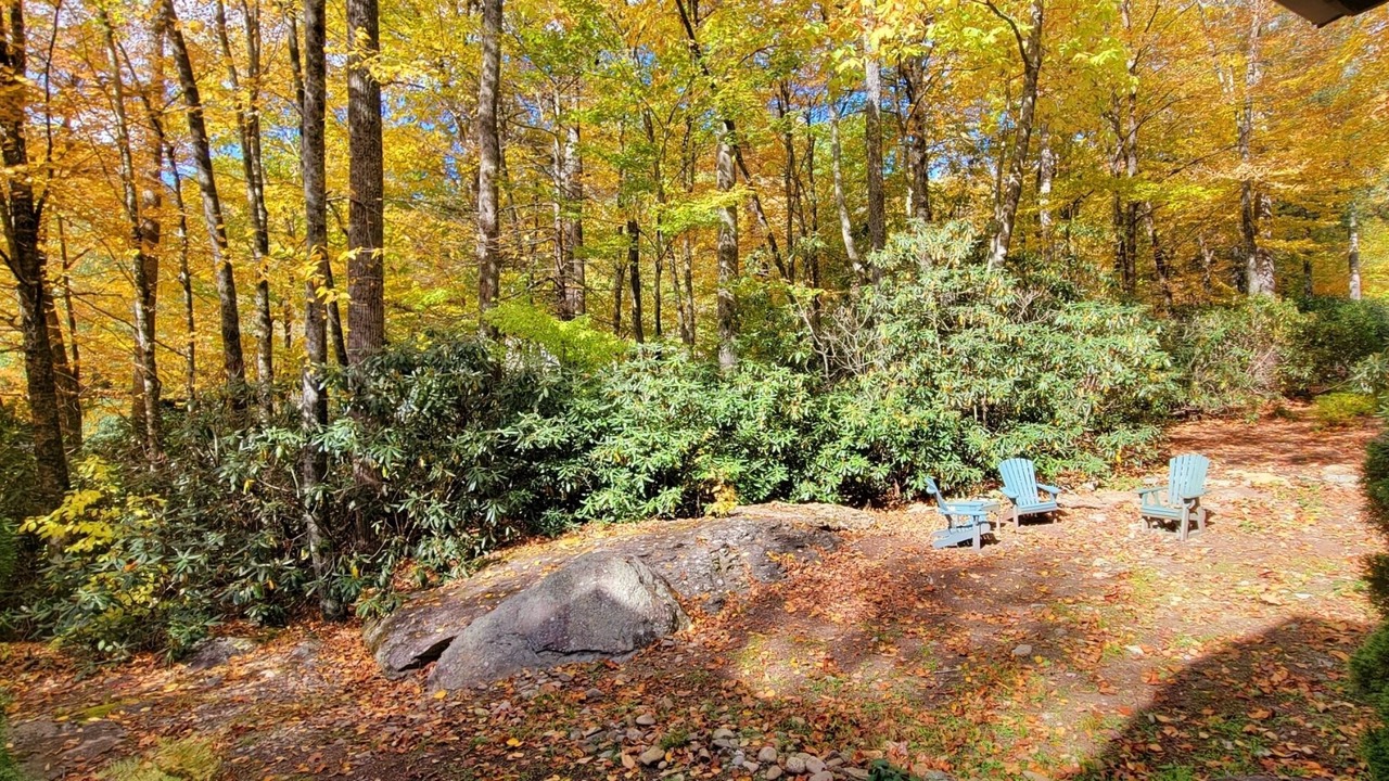 Photo of Others in Foscoe