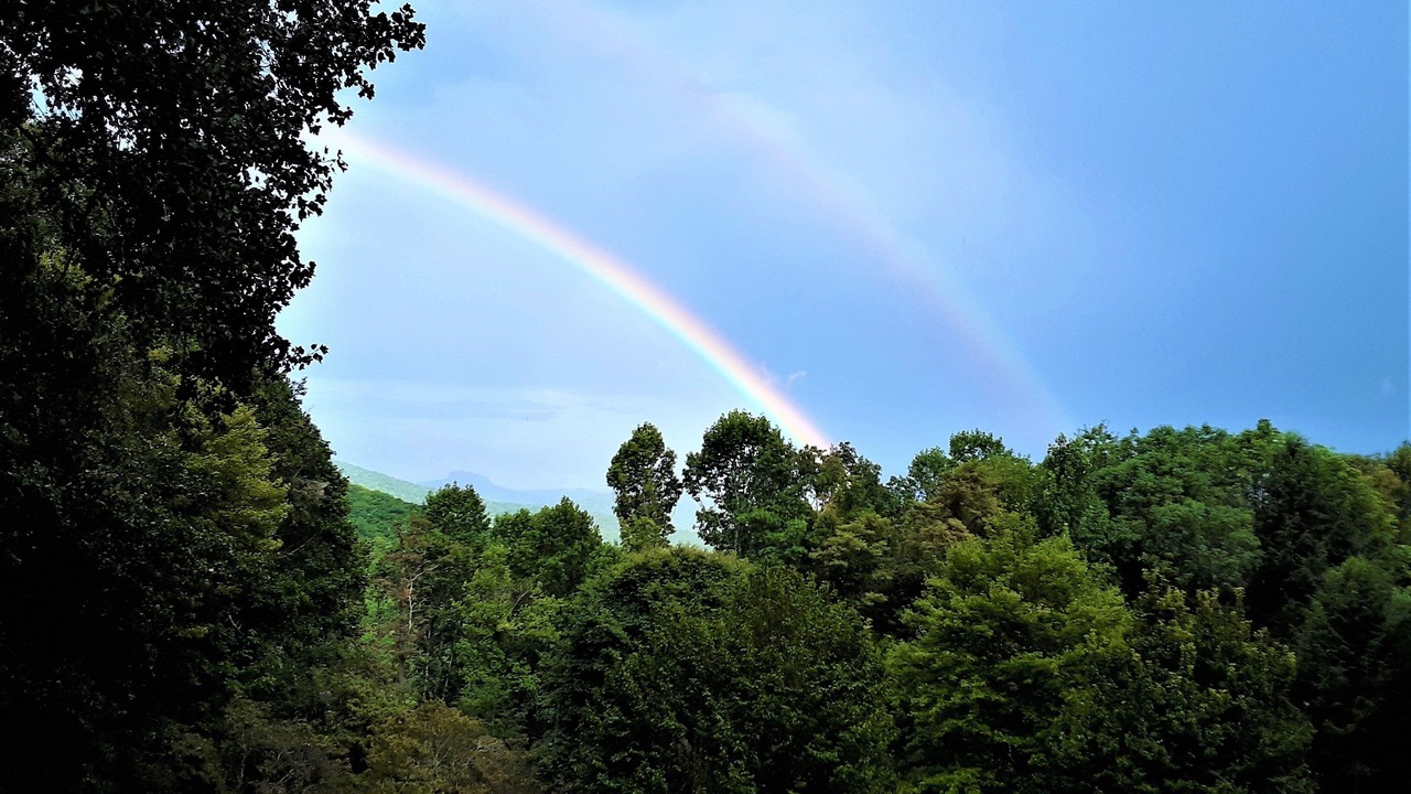 Photo of Others in Spruce Pine
