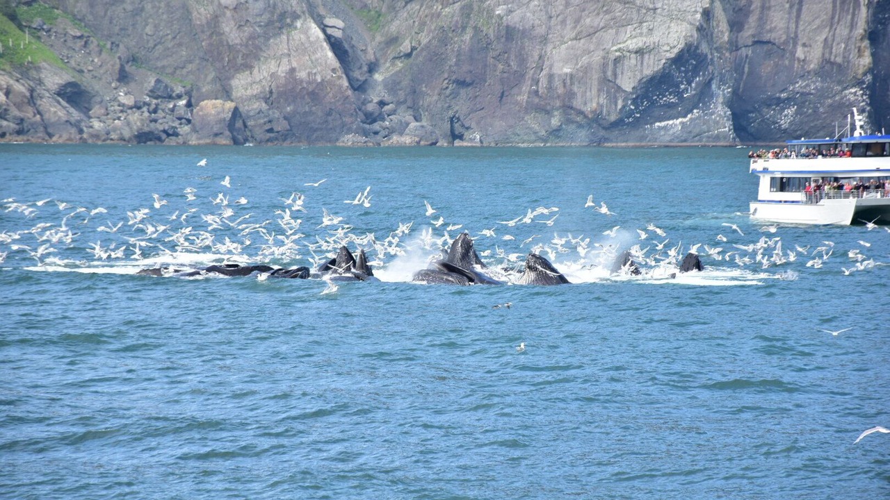 Photo of Others in Abbott Loop