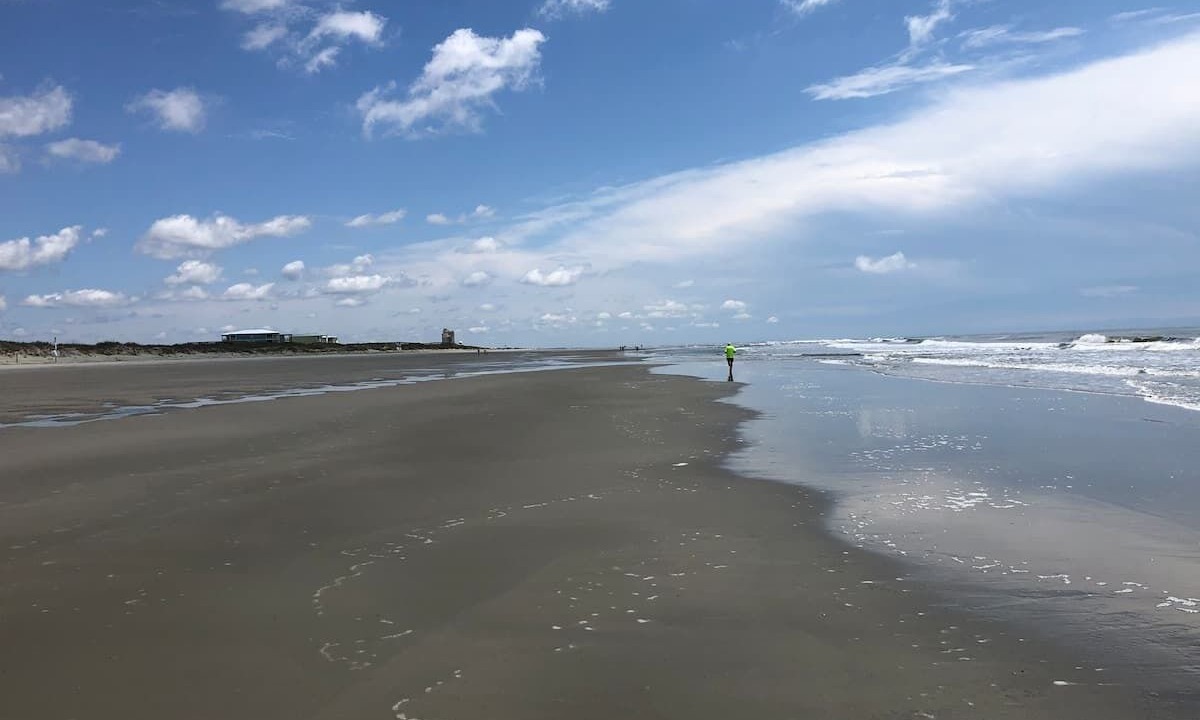 Photo of Others in Sea Trail