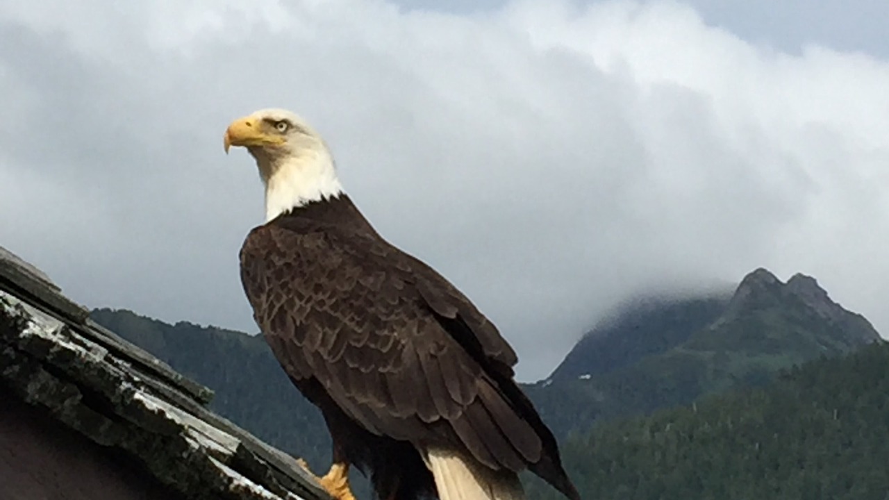 Photo of Outdoor in Sitka