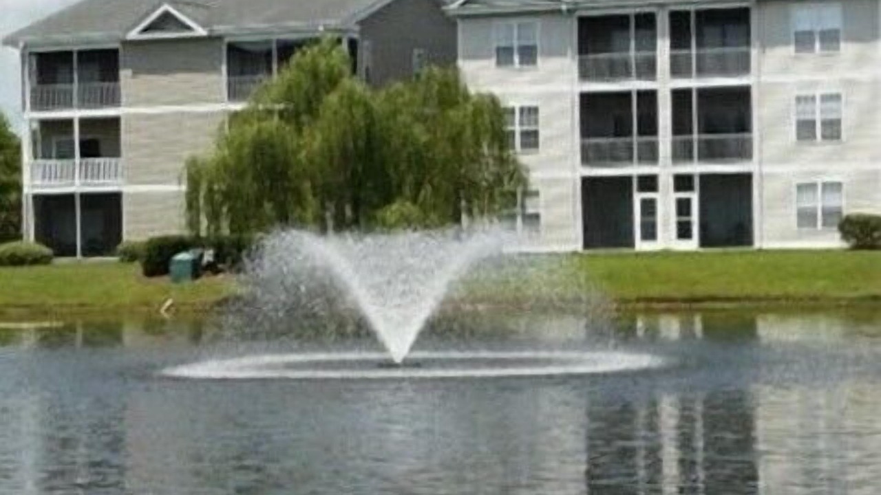 Photo of Outdoor in Sunset Beach