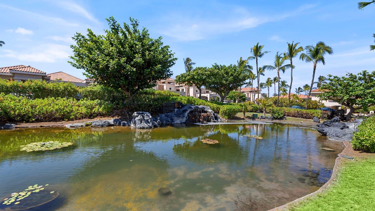 Photo of Others in Waikoloa