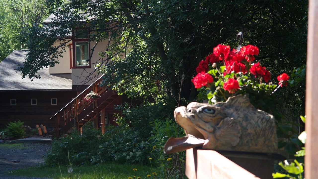 Photo of Outdoor in Eagle River