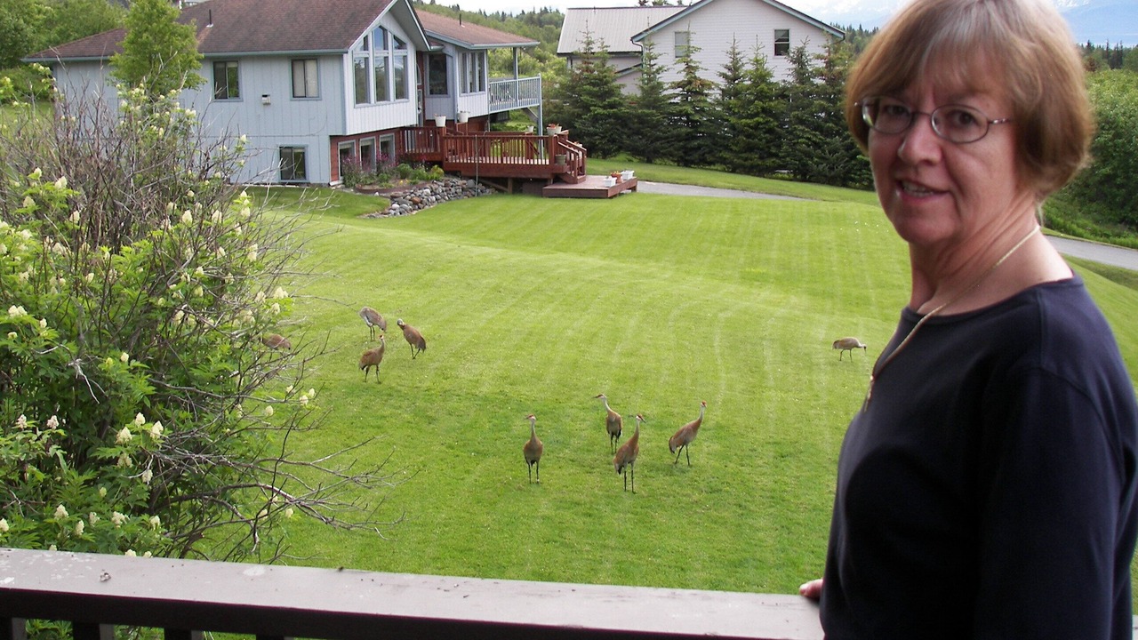 Photo of Others in Homer