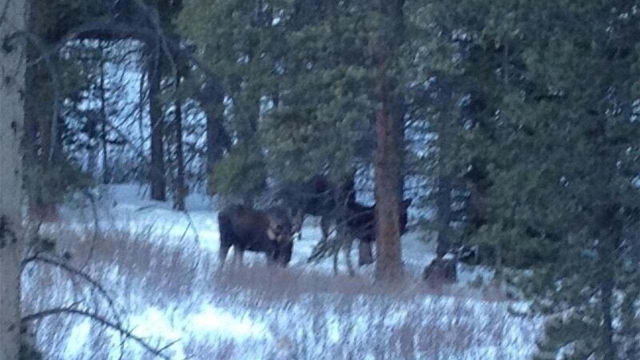 Photo of Others in Breckenridge