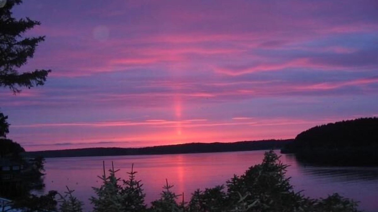 Photo of Others in Kodiak