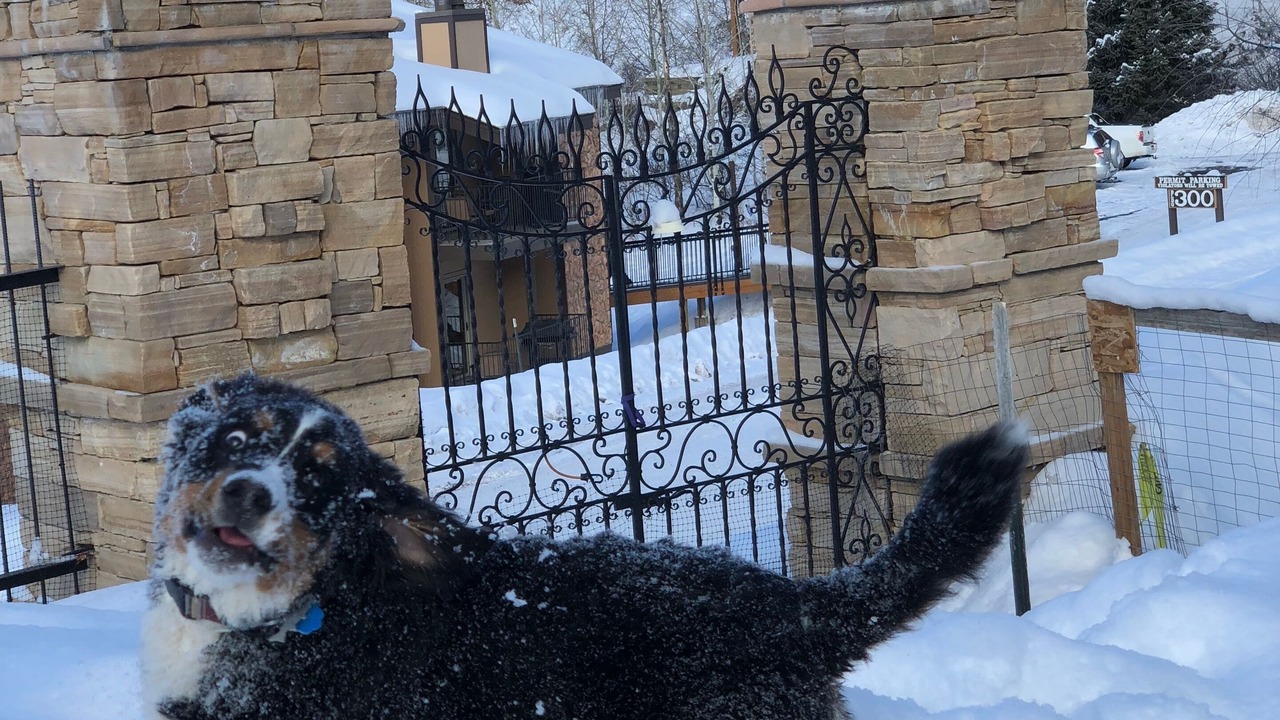 Photo of Outdoor in Steamboat Springs
