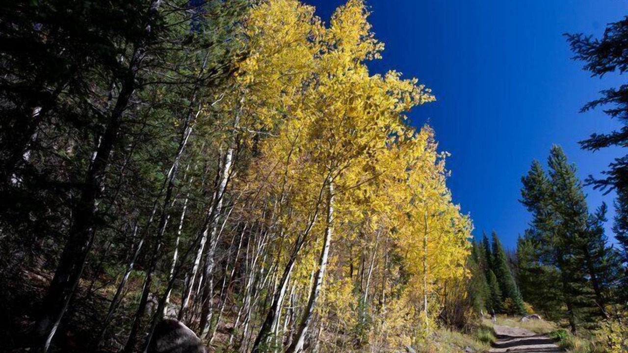Photo of Outdoor in Winter Park