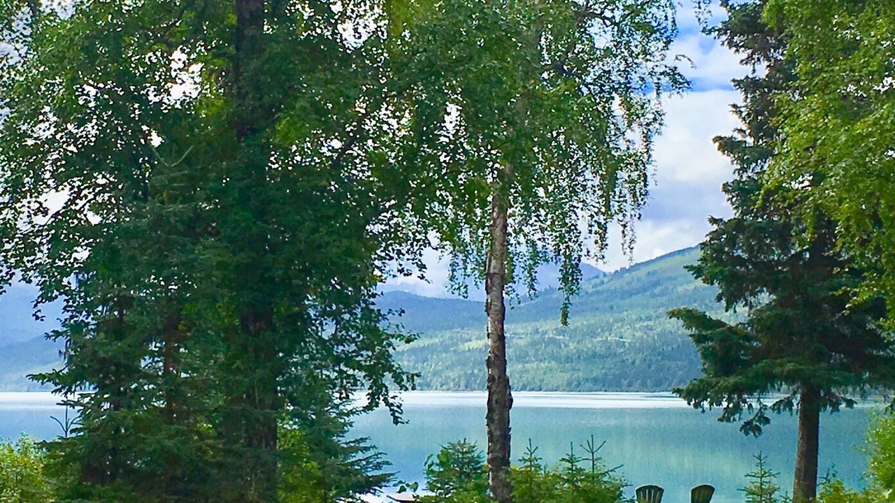 Photo of Outdoor in Cooper Landing