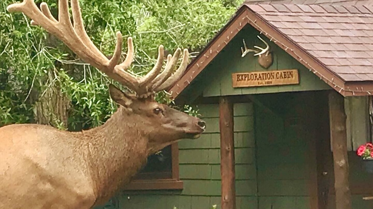Photo of Others in Estes Park