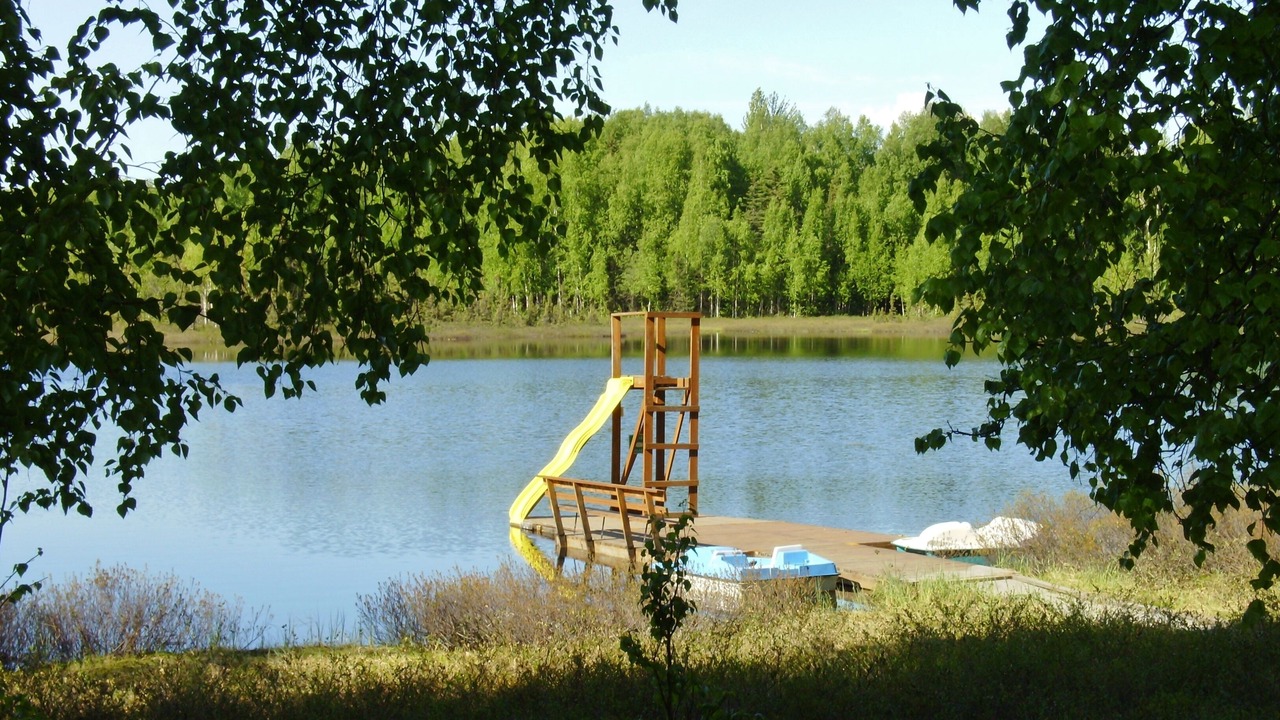 Photo of Outdoor in Willow
