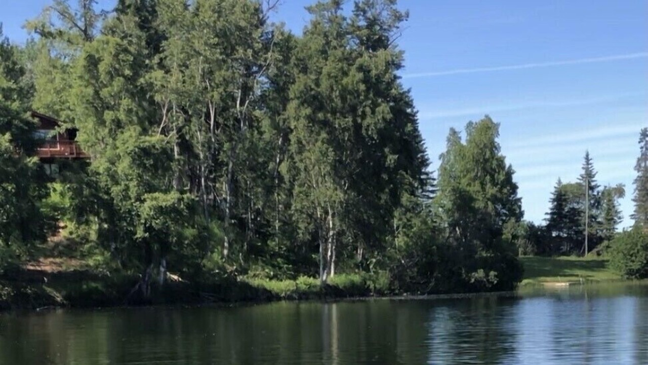 Photo of Outdoor in Nikiski